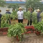 Lapas Jambi panen 300 ikat kangkung, dorong ketahanan pangan