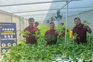 Hidroponik Lapas Cibinong: Warga Binaan Panen Sayuran untuk Ketahanan Pangan