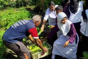 Bertepatan dengan peringatan Hari Anak Nasional (HAN) 2025, Rabu (23/7), Lapas Kelas III Wahai menggelar kegiatan edukasi pertanian bagi siswa-siswi Sekolah Dasar Negeri (SDN) 181 Kecamatan Seram Utara.
