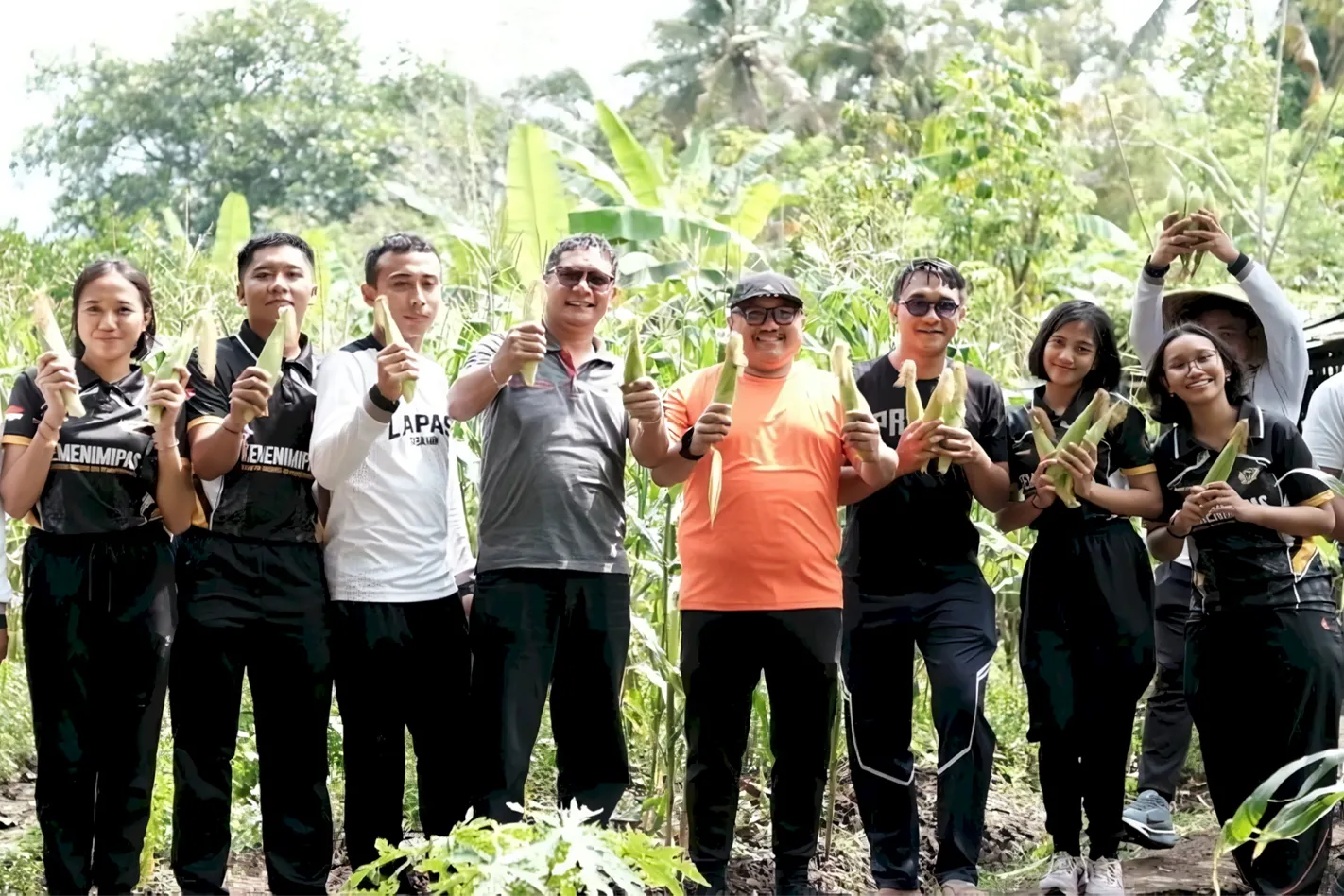 Lapas Kelas IIB Tabanan laksanakan panen perdana jagung ketan yang di tanam di Sarana Asimilasi dan Edukasi (SAE), Jumat (25/7). (Dok.Istimewa)