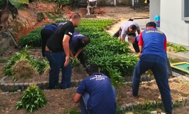 Lapas Jambi Panen 300 Ikat Kangkung dari Kebun Hidroponik