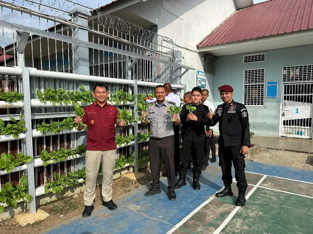 Lapas Muara Tebo Panen Sawi: Bukti Produktivitas di Lahan Terbatas