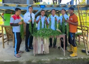 Lapas Kelas IIB Piru kembali memanen kacang panjang sebanyak 20 kg dari lahan pertanian Sarana Asimilasi dan Edukasi (SAE), Senin (21/7).