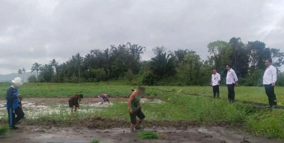 Langkah Nyata Lapas Tondano: Warga Binaan Turun ke Sawah Wujudkan Ketahanan Pangan