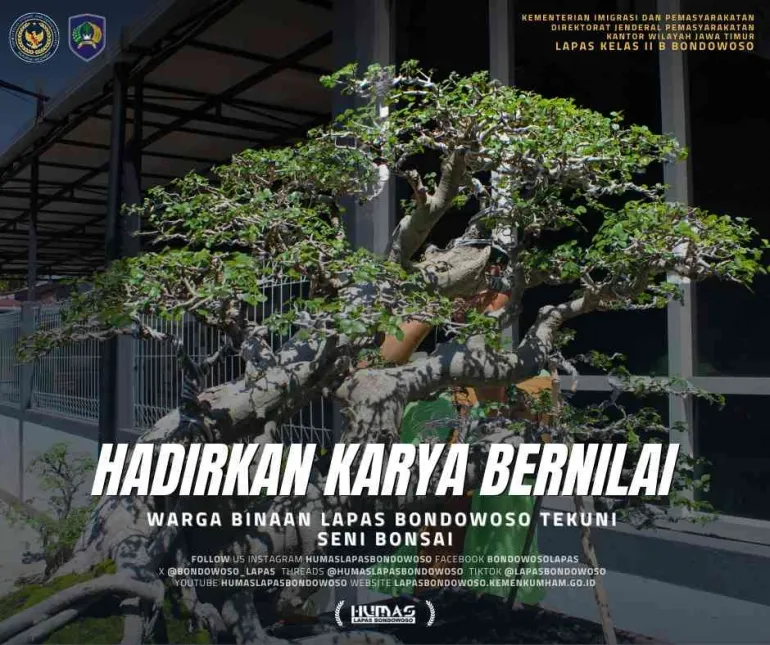 Bonsai karya warga binaan Lapas Bondowoso. (Humas Lapas Bondowoso)