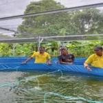 Kelompok Warna 86 di Lapas Namlea kembangkan budidaya ikan nila bioflok dengan 3.750 ekor dari dua varietas. (Web. Ditjenpas)