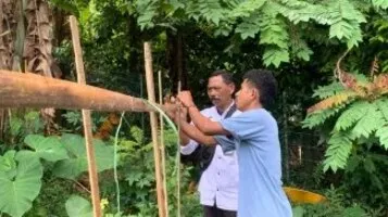 Lapas Kelas III Bandanaira berkomitmen membina kemandirian Warga Binaan lewat edukasi budidaya mentimun dengan teknik tradisional. (Dok: Humas Lapas Bandanaira)