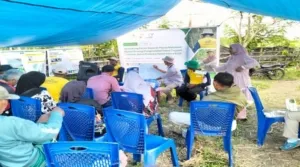Lapas Kelas III Namlea ikut berpartisipasi dalam kegiatan temu lapang Farmer Field Day (FFD) antarpetani yang dilaksanakan Yayasan Bina Tani Sejahtera (YBTS) di Desa Lamahang, Minggu (24/8). (Web. Ditjenpas)