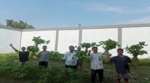Anak Binaan LPKA Medan berhasil melakukan panen perdana sayuran bayam hasil budidaya mandiri di lahan pembinaan LPKA Medan pada Selasa (19/8). (Web. Ditjenpas)