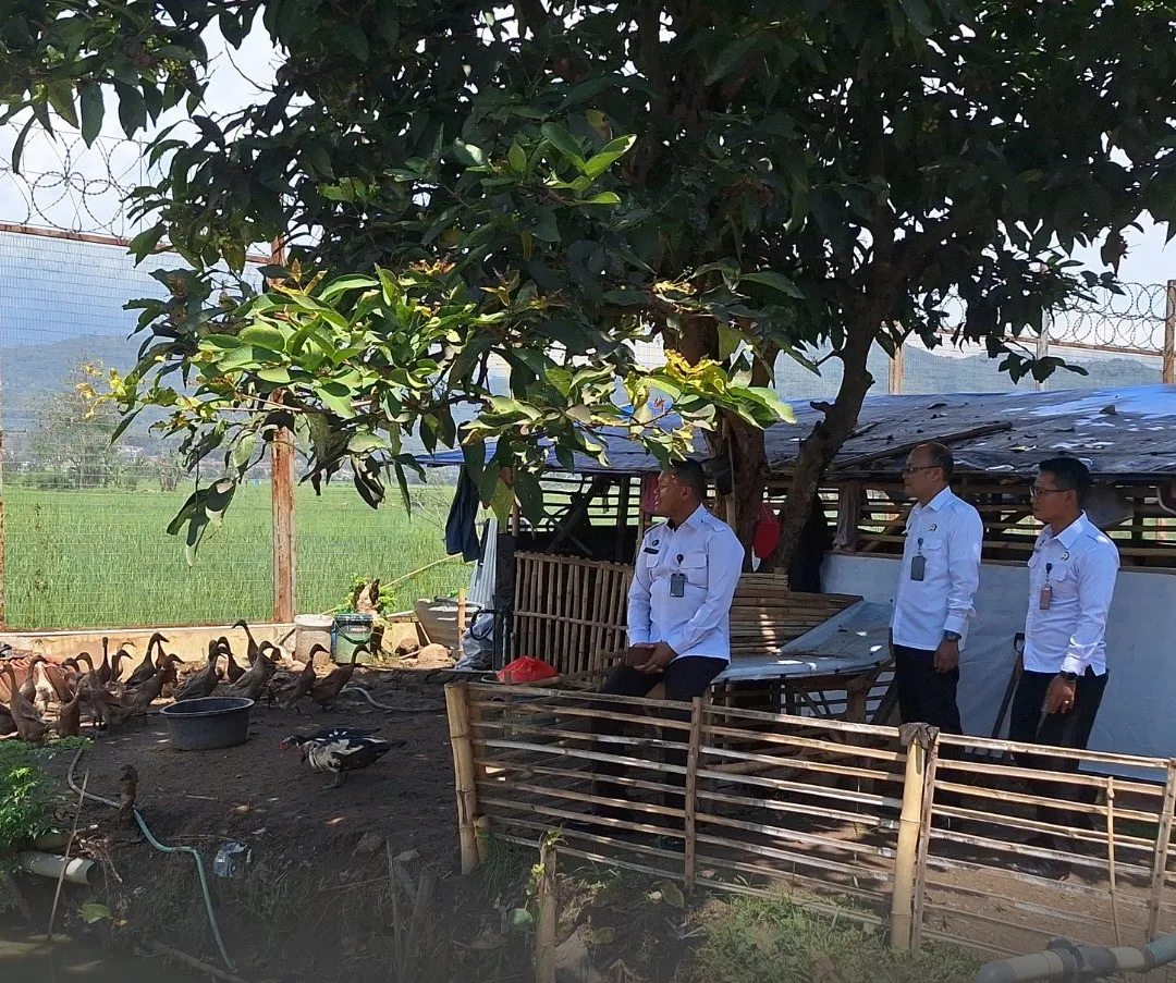 LPN Bandung Kembangkan Peternakan Itik Untuk Pembinaan wbp
