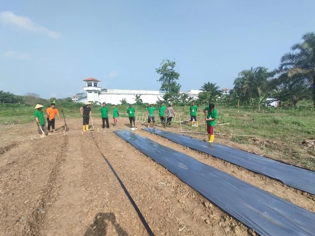 LPN Muara Sabak Latih WBP Bertani untuk Kemandirian