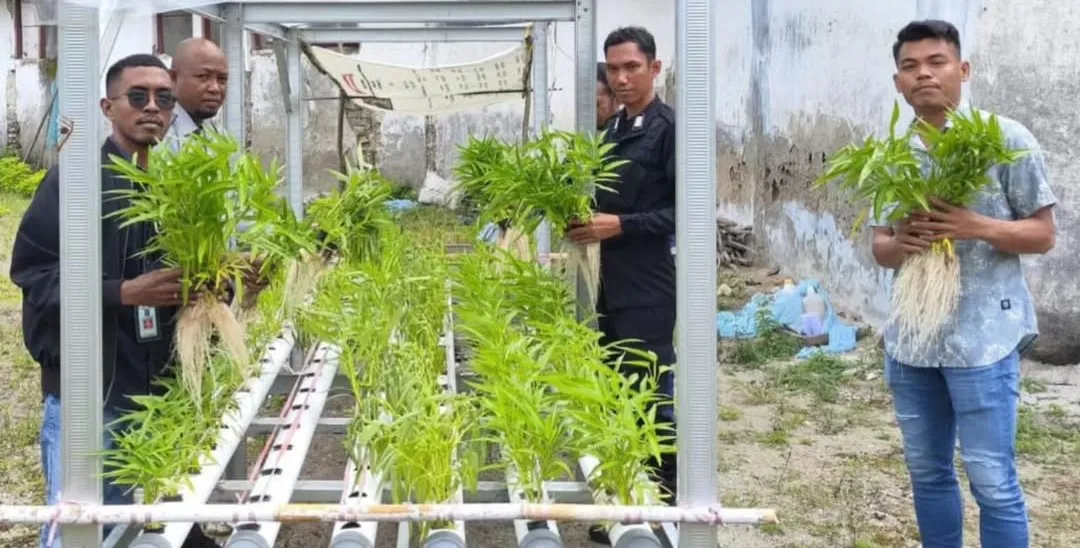 Lapas Geser Panen Perdana Kangkung Hidroponik