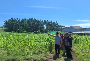 Lapas Leok: Percontohan Pembinaan Berbasis Pangan di Sulteng