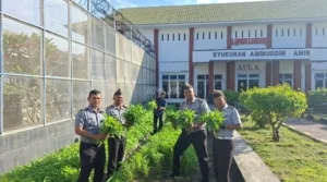 Lapas Luwuk Sukses Panen Perdana, Hasilkan 32 Kg Kangkung