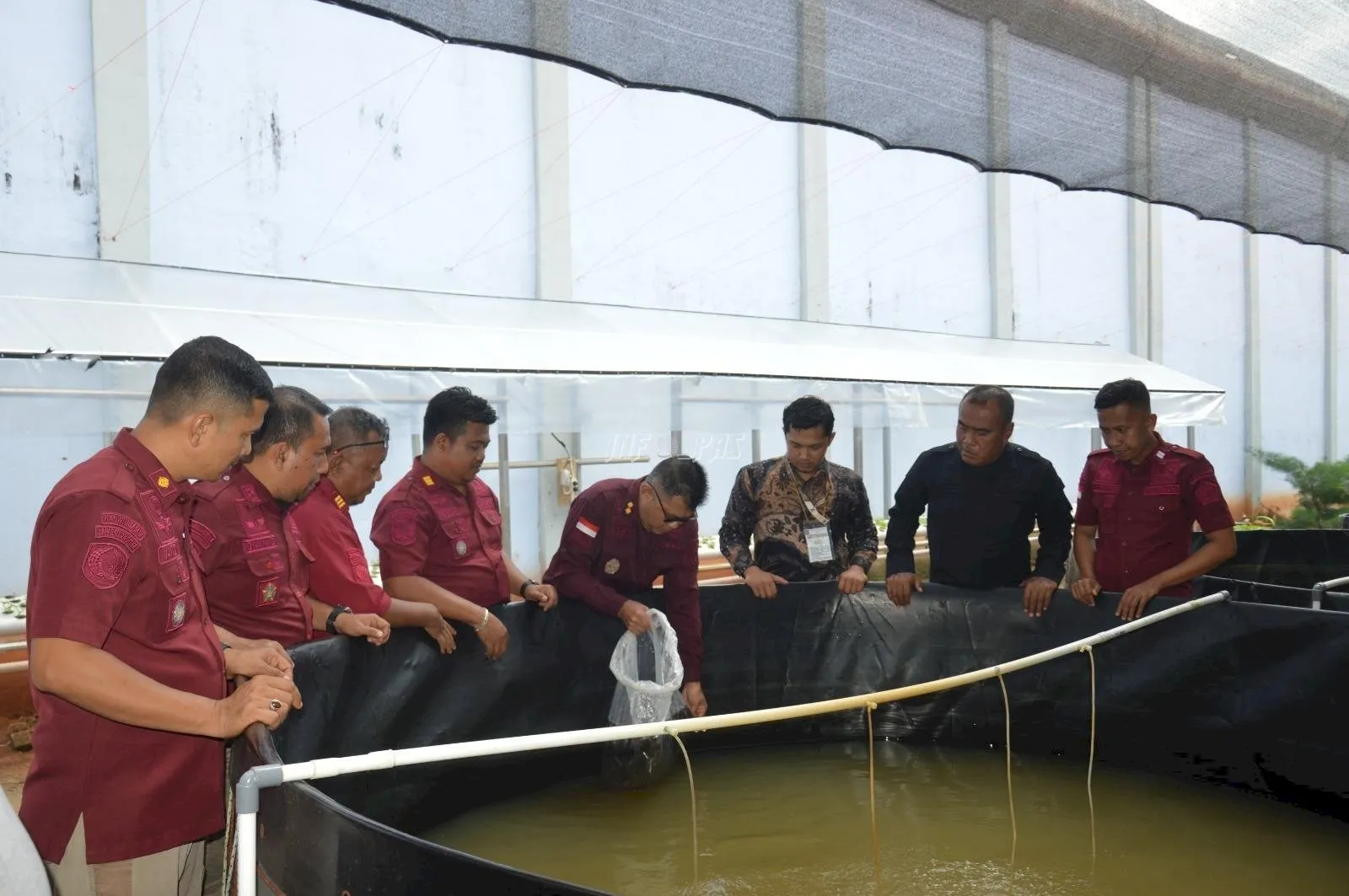 Lapas Muara Sabak Tebar 16.000 Benih Lele di Kolam Bioflok