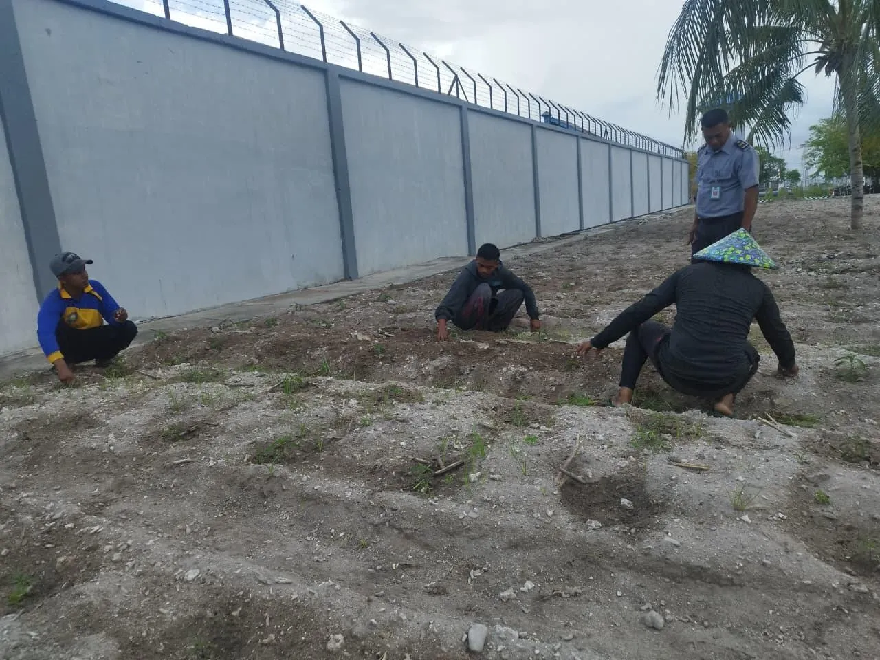 Lapas Namlea Perluas Hortikultura dengan 1.000 Cabai Hibrida