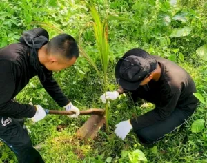 Lapas Nirbaya menargetkan tanam 1.000 tunas kelapa untuk dukung ketahanan pangan; 280 sudah tertanam hingga 14 Agustus. (Web Ditjenpas)
