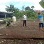 Lapas Palu Tanam Kangkung Dukung Program 13 Akselerasi