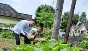 Lapas Pangkalpinang Panen Puluhan Kg Labu