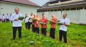 Lapas Kelas IIA Pangkalpinang berhasil panen 106 kilogram semangka inul di lahan sket antar blok hunian, Selasa (19/8). (Web. Ditjenpas)