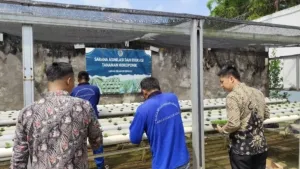 Lapas Sekayu Kembangkan Budidaya Kangkung Hidroponik
