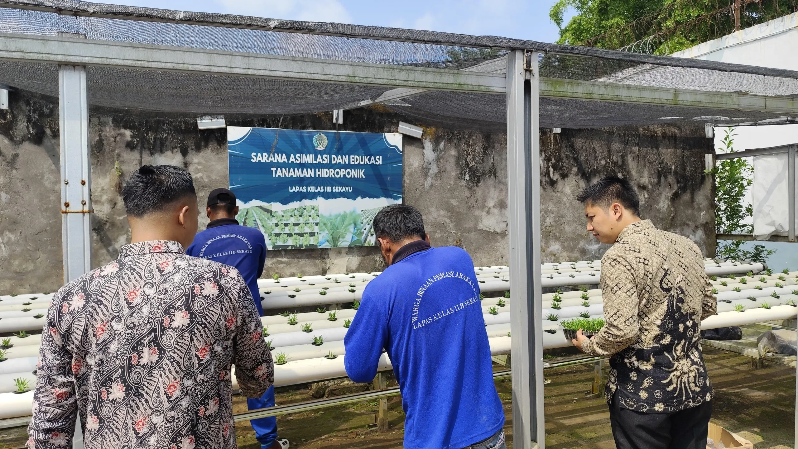 Lapas Sekayu Kembangkan Budidaya Kangkung Hidroponik