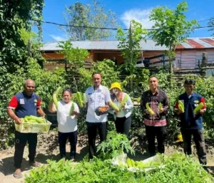 Lapas Kelas III Wahai terus menunjukkan progres dalam mendukung ketahanan pangan melalui panen hasil usaha tani. Rabu (20/8), (Web. Ditjenpas)