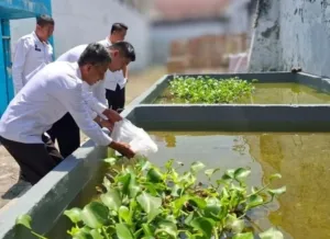 Lapas Brebes Tebar 2.000 Benih Ikan Nila