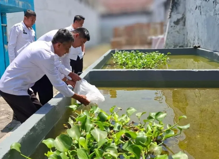 Lapas Brebes Tebar 2.000 Benih Ikan Nila