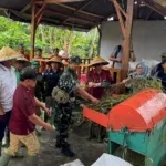 Lapas Kelas IIB Muara Bulian menggelar panen raya padi dan ayam kampung di Sarana Asimilasi dan Edukasi (SAE) Sentra Ketahanan Pangan, Sabtu (23/8). (Web. Ditjenpas)