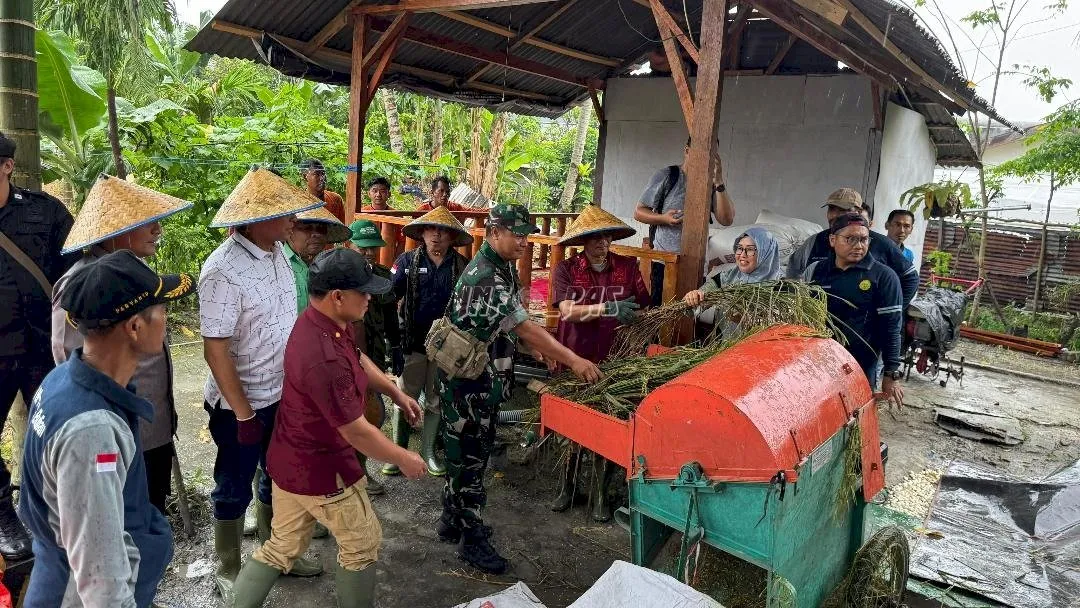 Lapas Kelas IIB Muara Bulian menggelar panen raya padi dan ayam kampung di Sarana Asimilasi dan Edukasi (SAE) Sentra Ketahanan Pangan, Sabtu (23/8). (Web. Ditjenpas)
