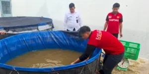Rutan Tanjung Redeb panen 50 kg ikan lele hasil dari program pembinaan kemandirian Warga Binaan dalam membudidayakan ikan air tawar, Rabu (20/8). (Web. Ditjenpas)