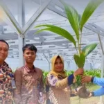 Rutan Sengkang Terima 100 Bibit Kelapa Hibrida