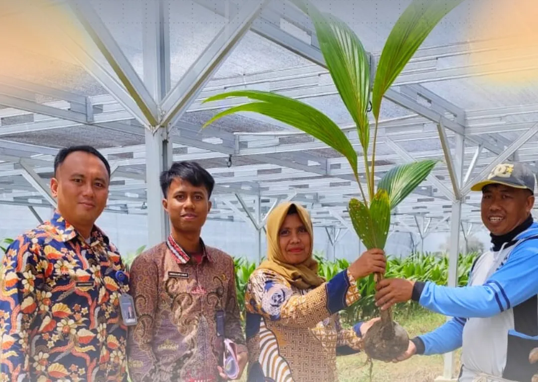 Rutan Sengkang Terima 100 Bibit Kelapa Hibrida