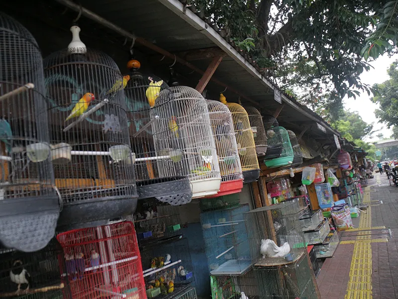 Wali Kota Jaksel Jamin Fasilitas Relokasi Pedagang Loksem Barito