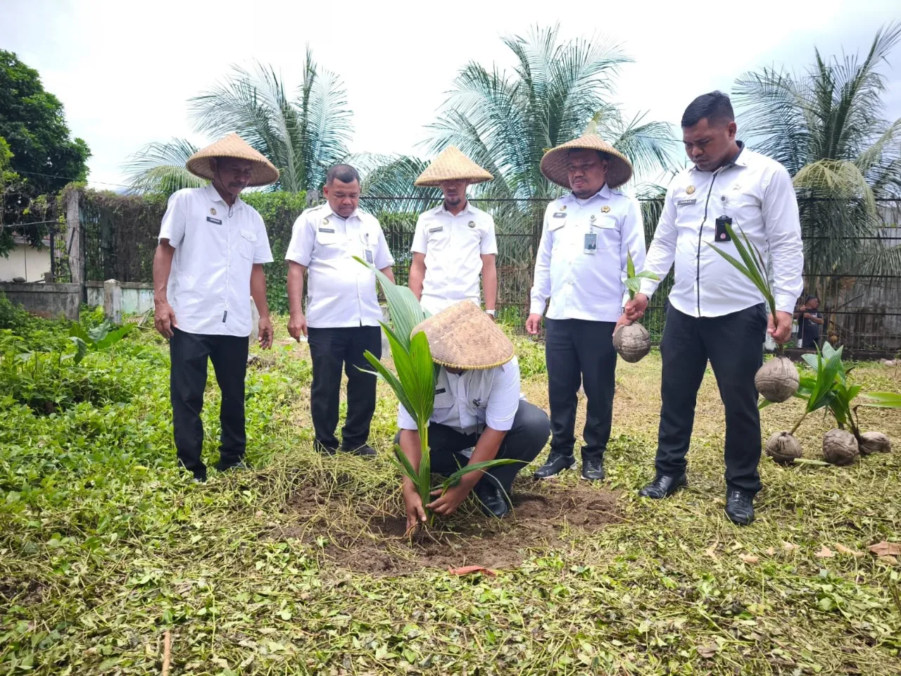 Lapas Ternate tanam 100 bibit kelapa di area SAE sebagai dukungan Gerakan Tanam Pohon Serentak dari Ditjenpas, Kamis (28/8). (Humas Lapas Ternate)