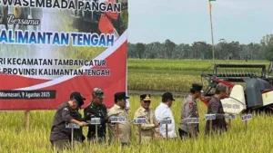 Pemprov Kalteng Dorong Ketahanan Pangan Lewat Panen Raya di Kapuas. (Dok.Istimewa)