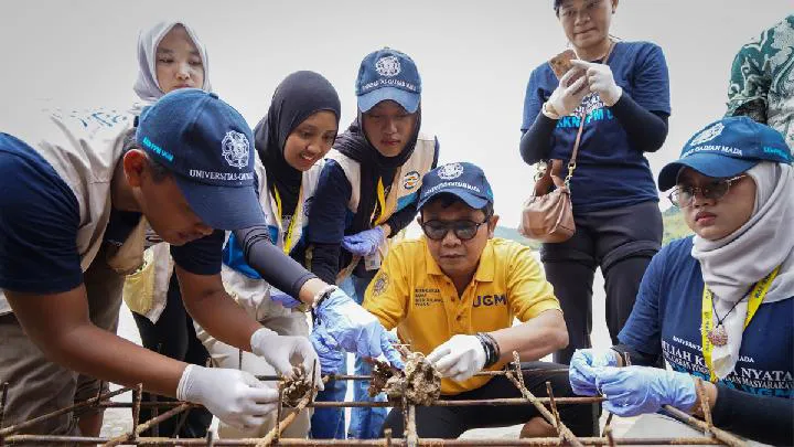 Mahasiswa KKN UGM menanam 540 bibit terumbu karang di Pantai Baga, Sumatera Barat, bersama nelayan sebagai upaya pelestarian laut (1/8) 2025. (Dok.Istimewa)