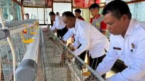 Lapas Kelas IIB Atambua luncurkan program peternakan dengan 32 ayam petelur untuk cetak Warga Binaan jadi juragan telur mandiri. (Dok: Humas Lapas Atambua)