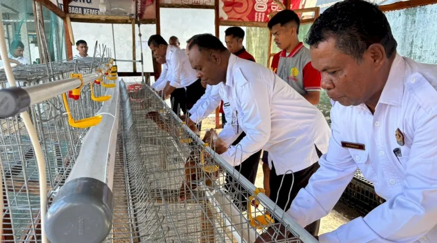 Lapas Kelas IIB Atambua luncurkan program peternakan dengan 32 ayam petelur untuk cetak Warga Binaan jadi juragan telur mandiri. (Dok: Humas Lapas Atambua)