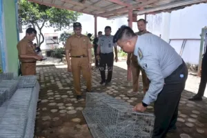 Lapas Narkotika Muara Sabak gandeng Disbunnak Tanjab Timur survei lokasi pelatihan budidaya ayam petelur bagi Warga Binaan. (Dok: Humas LPN Muara Sabak)