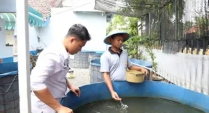 Inovasi Lapas Mojokerto, WBP Budidaya Lele dan Pertanian