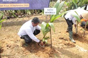 Karutan Bengkulu Ikut Penanaman Bibit Pohon Kelapa Serentak
