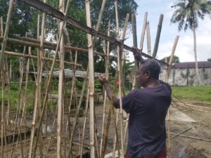 Lapas Ambon Kembangkan Budidaya Kacang Panjang