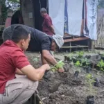 Lapas Ambon Tanam 60 Bibit Cabe Untuk kemandirian WBP