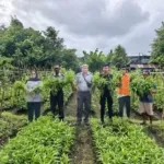 Lapas Bandanaira Panen 15 Ikat Kangkung di Lahan SAE