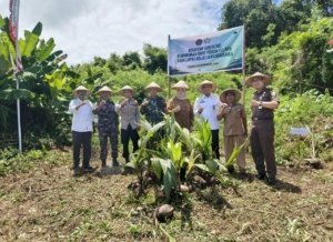 Lapas Bandanaira dan Forkopimcam Sinergi Tanam Pohon Kelapa