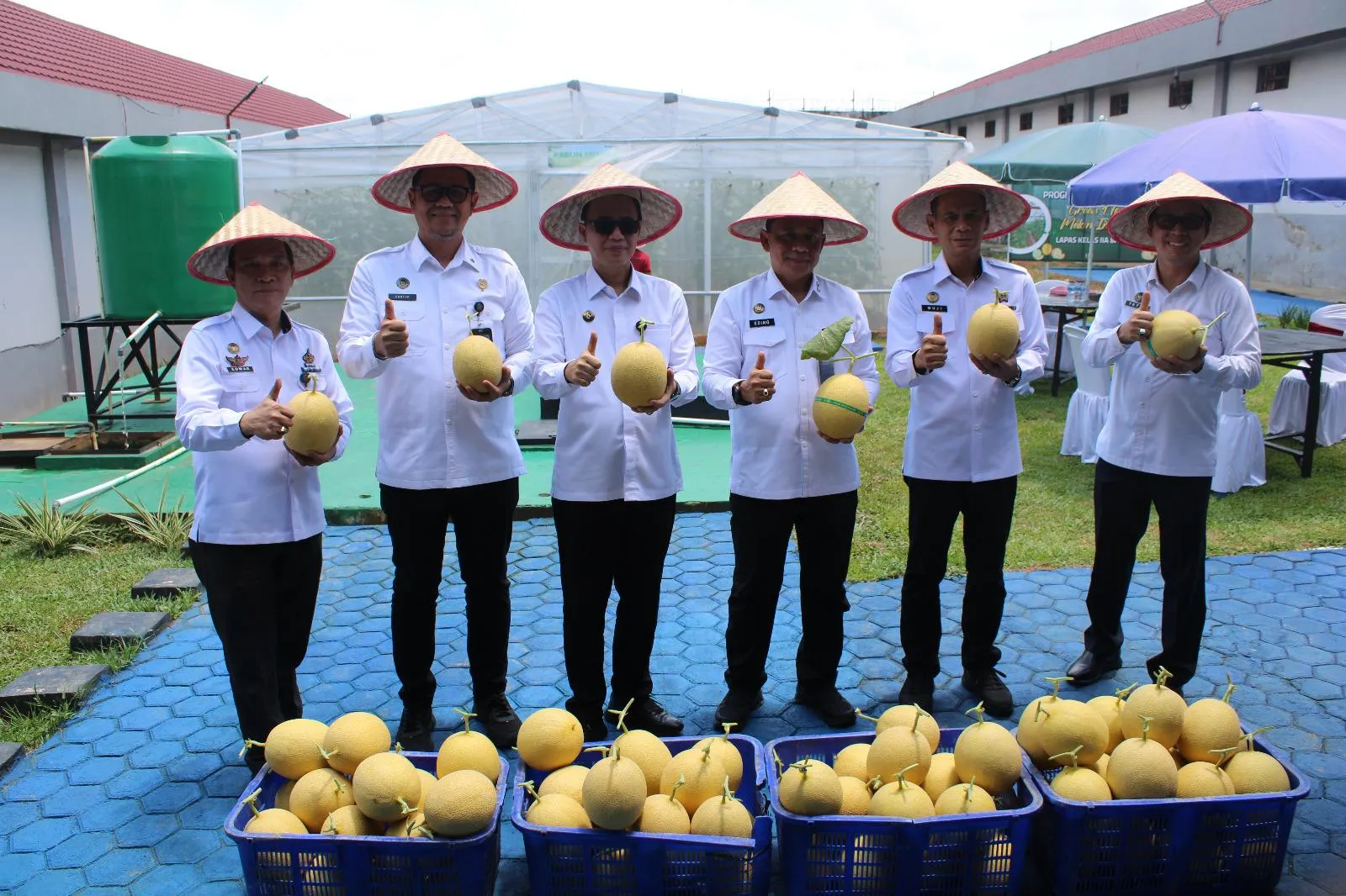 Lapas Banyuasin Panen Melon Inthanon 1 Ton
