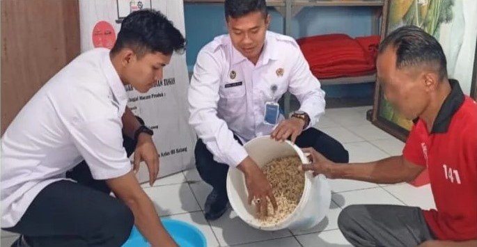 Lapas Batang Kembali Panen Tauge, Cabai dan Kangkung