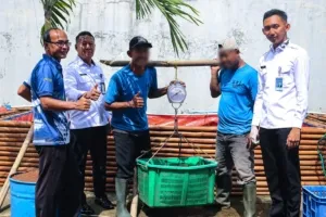 Lapas Cibinong Panen 2 Kuintal Ikan Lele